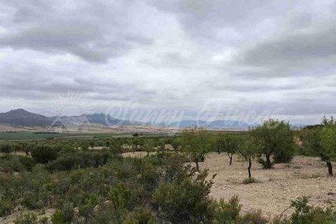 Landejendom i Caudete, Albacete, Caudete - € 39.000 | Ref: SF0580 - foto 19